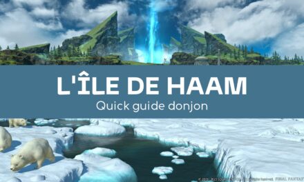 L’île de Haam (Quick guide)